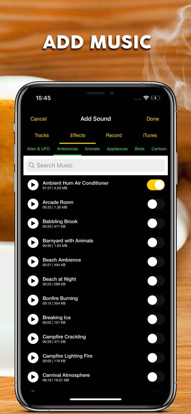 Music Editor